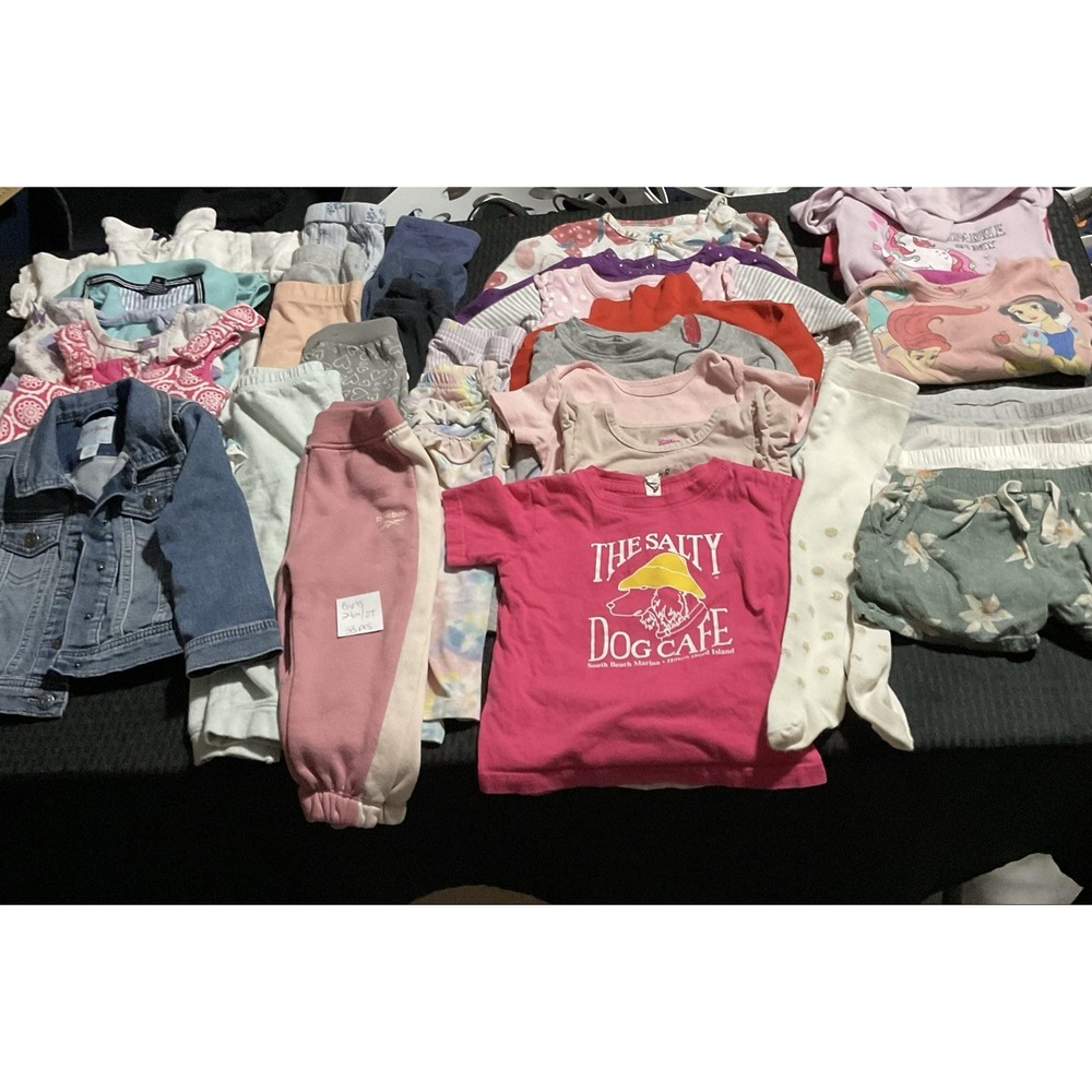 Mixed Brands Outfit Lot Girls 24M/2T 33pc Dresses Tops Pants PJs Disney Frozen